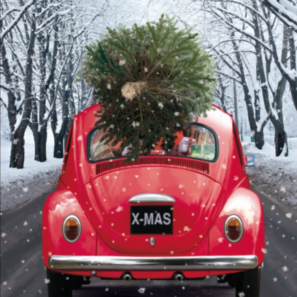 HOLIDAY DECOR